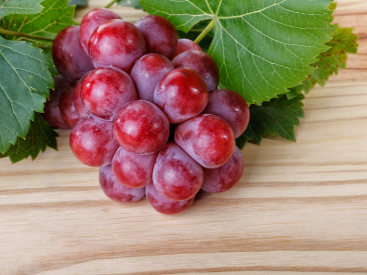 Gát nélkül hat: mikrokeringés-javító Szerves szőlőmag