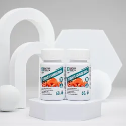 Ganoderma (Pecsétviaszgomba) DUOPACK