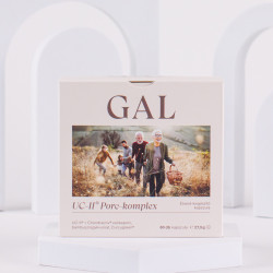 GAL UC-II® Porc-komplex – Komplex összetétel az ízületekért