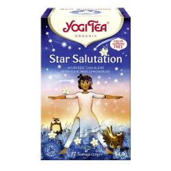 YOGI TEA® Star Salutation - Csillagüdvözlet bio tea