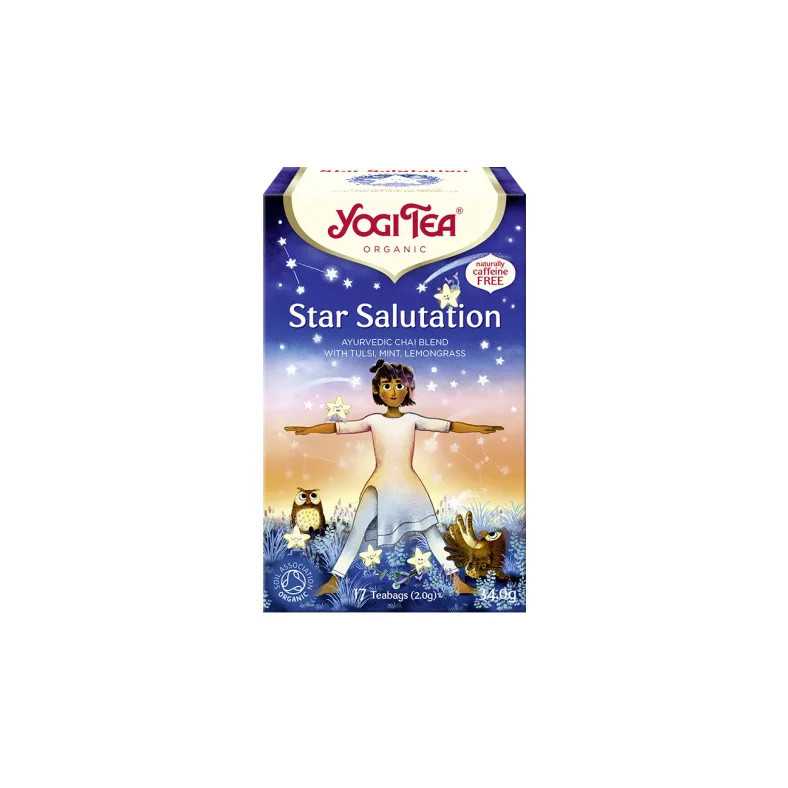 YOGI TEA® Star Salutation - Csillagüdvözlet bio tea