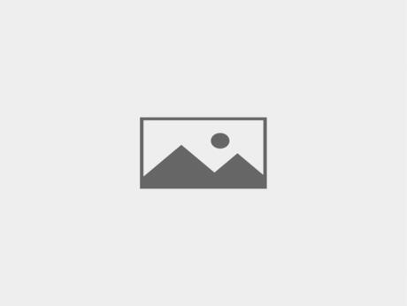 No blog img