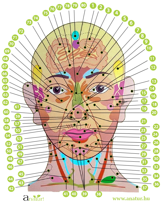 Meregtelenites jelei az arcon - Hogyan lehet megtisztítani a parazita testét gyógyszer