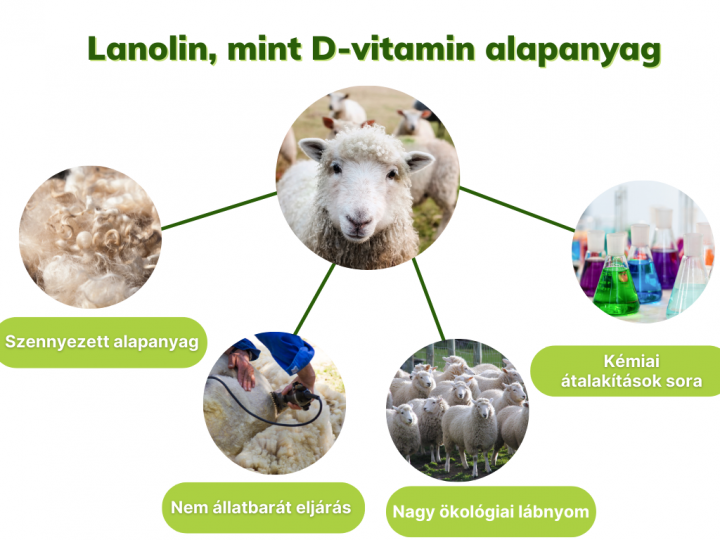 4 tény a lanolinról, mint D-vitamin alapanyagról
