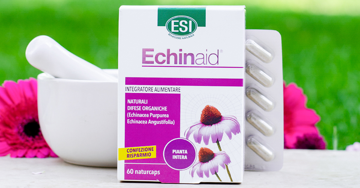 Echinacea tinktúra és magas vérnyomás